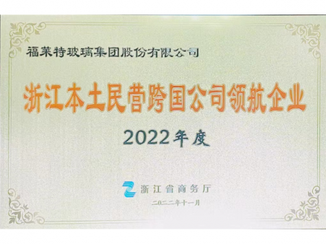 2022年度浙江本土民營跨國公司領航企業(yè)